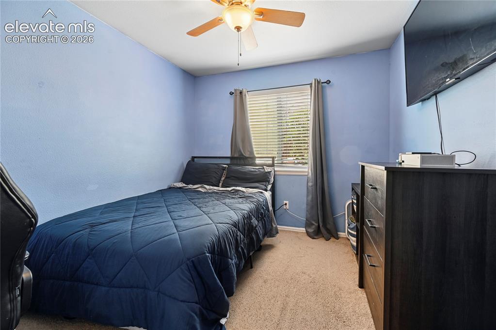 2445 Brenton Drive Colorado Springs CO 80918
