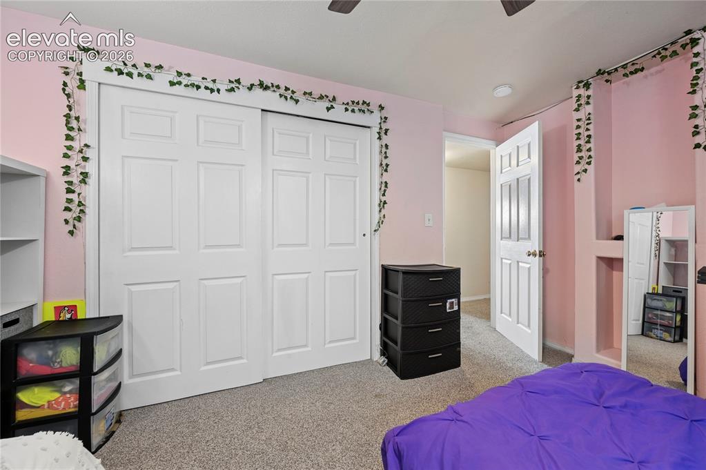2445 Brenton Drive Colorado Springs CO 80918