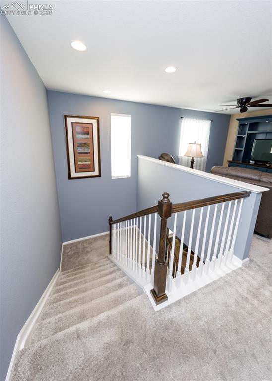81 S Edge Cliff Street Castle Rock CO 80104