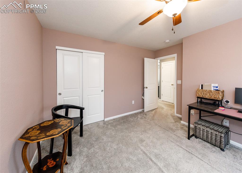 81 S Edge Cliff Street Castle Rock CO 80104