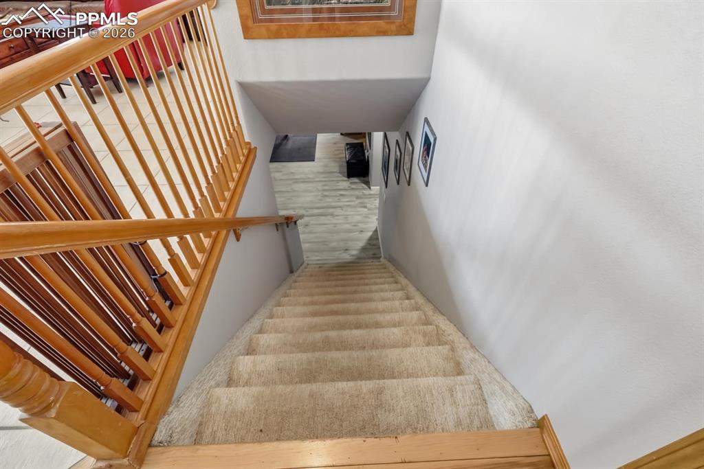 14020 Nichlas Court Colorado Springs CO 80921