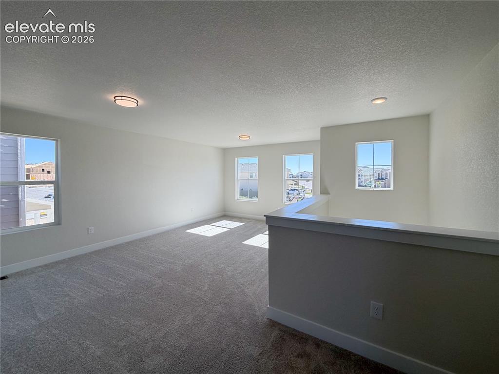 8206 Lemon Grass Road Peyton CO 80831