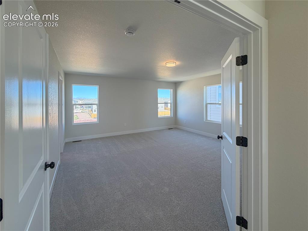 8206 Lemon Grass Road Peyton CO 80831