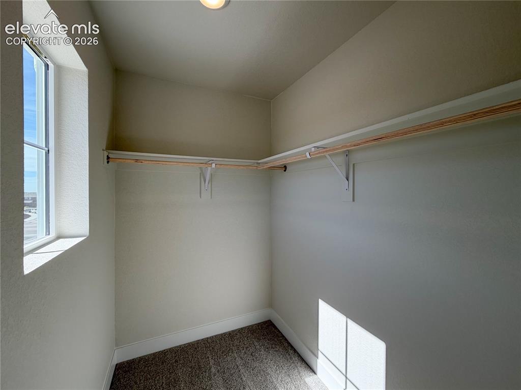 8206 Lemon Grass Road Peyton CO 80831