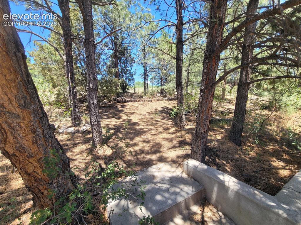 5550 Wilkerson Pass Drive Colorado Springs CO 80917