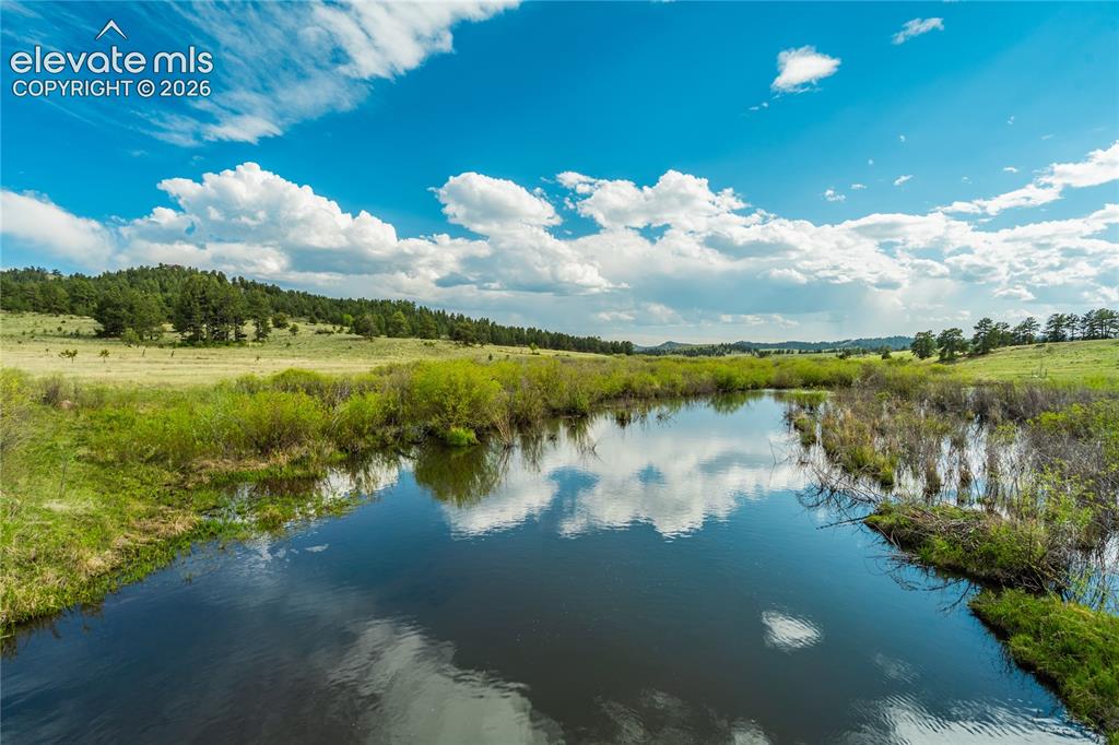 224 Lakeview Forest Heights Florissant CO 80816