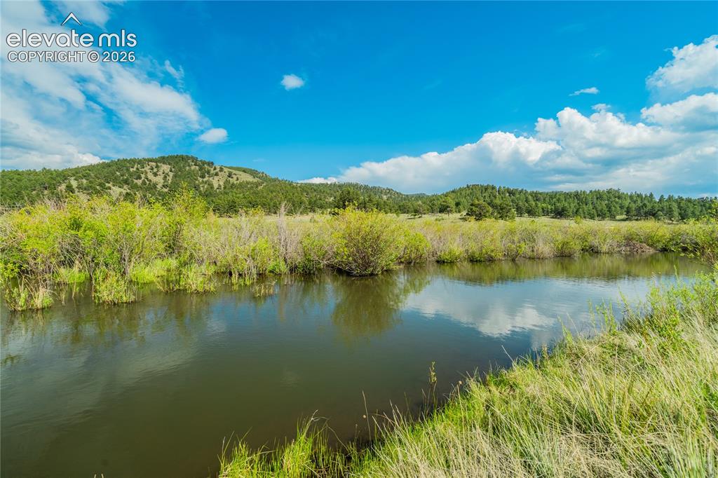 224 Lakeview Forest Heights Florissant CO 80816