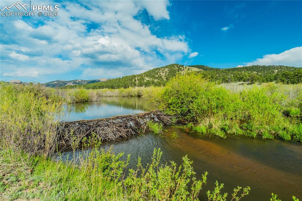 224 Lakeview Forest Heights Florissant CO 80816
