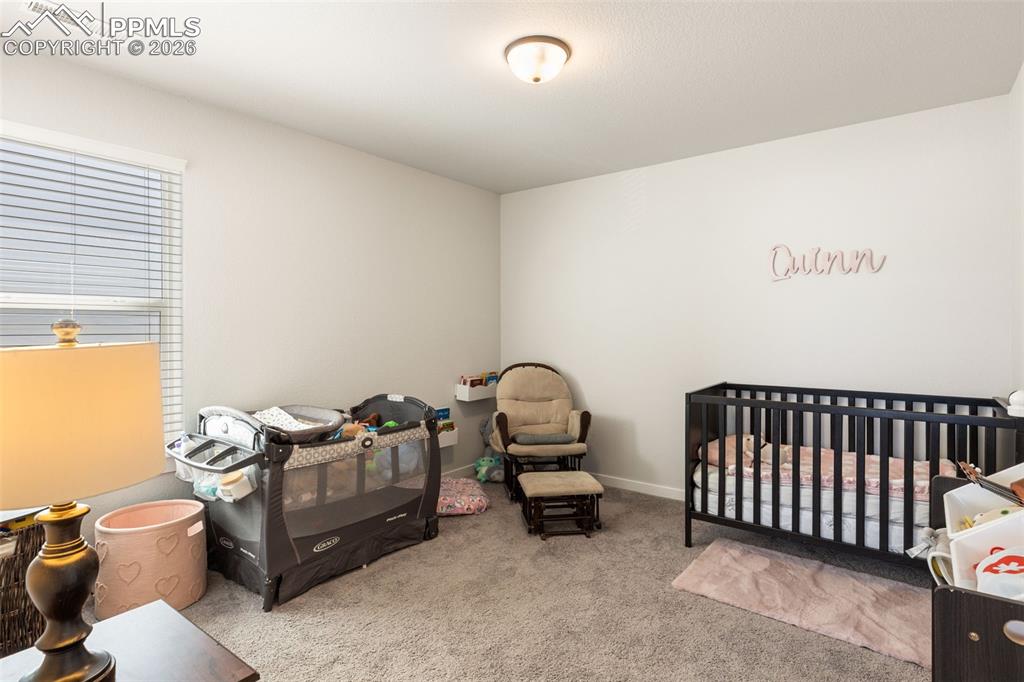 7929 Polson Drive Colorado Springs CO 80908