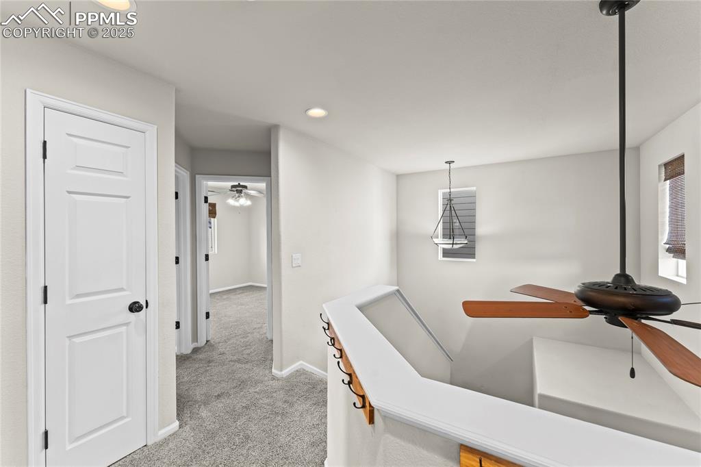 11508 Black Maple Lane Colorado Springs CO 80921