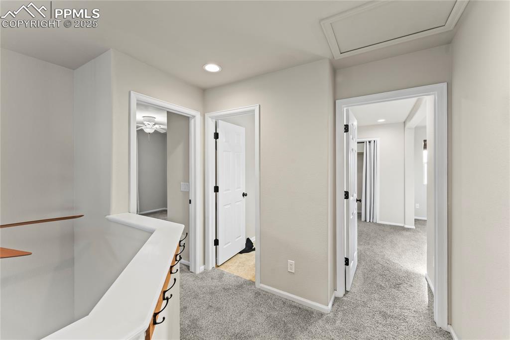 11508 Black Maple Lane Colorado Springs CO 80921