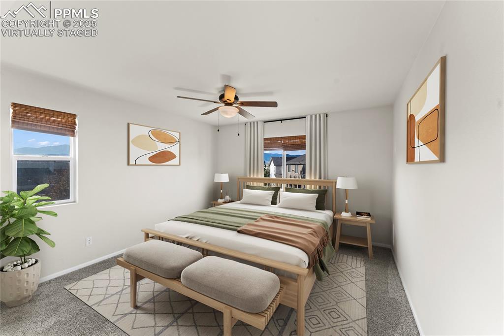 11508 Black Maple Lane Colorado Springs CO 80921