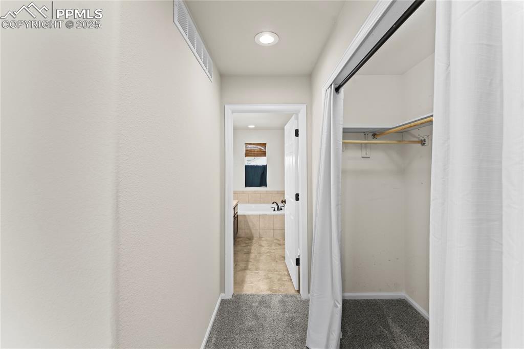 11508 Black Maple Lane Colorado Springs CO 80921