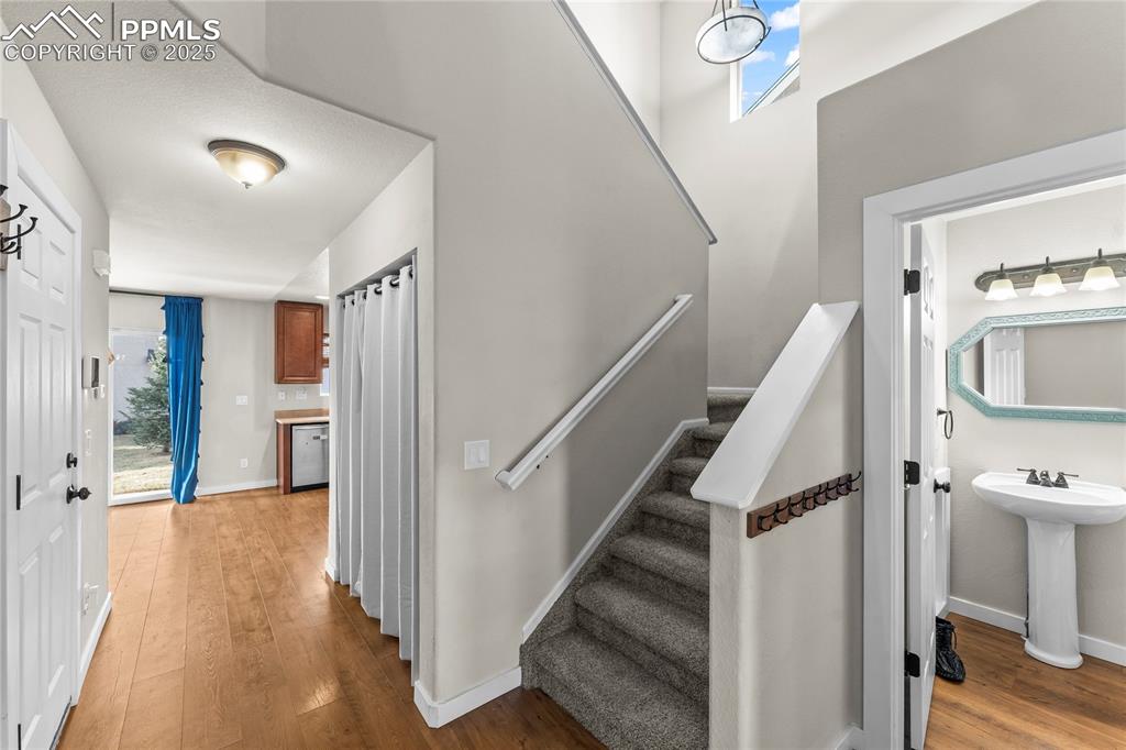 11508 Black Maple Lane Colorado Springs CO 80921