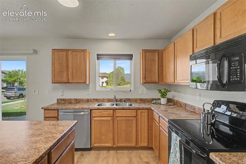11675 Black Maple Lane Colorado Springs CO 80921