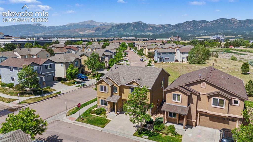 11675 Black Maple Lane Colorado Springs CO 80921