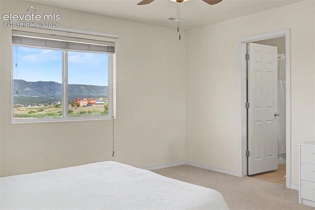 11675 Black Maple Lane Colorado Springs CO 80921