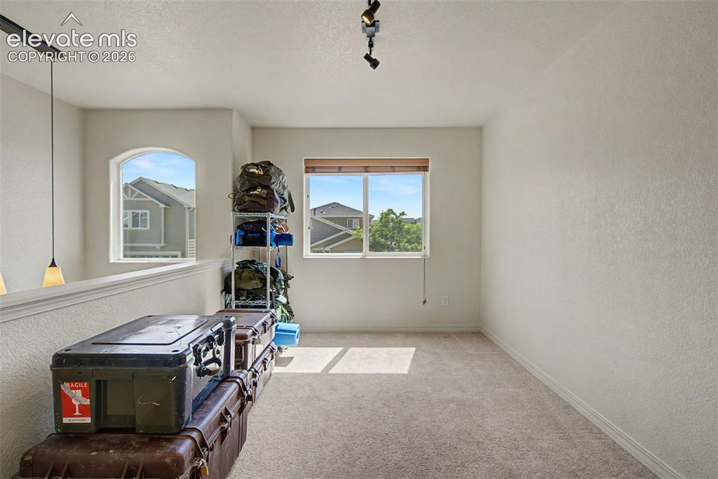11675 Black Maple Lane Colorado Springs CO 80921