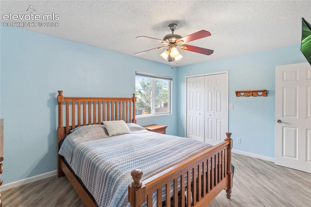 3955 Rosemere Street Colorado Springs CO 80906