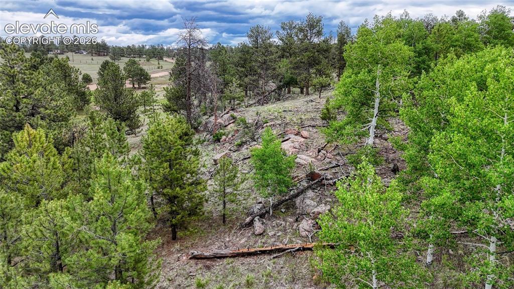 330 Arrowhead Drive Florissant CO 80816