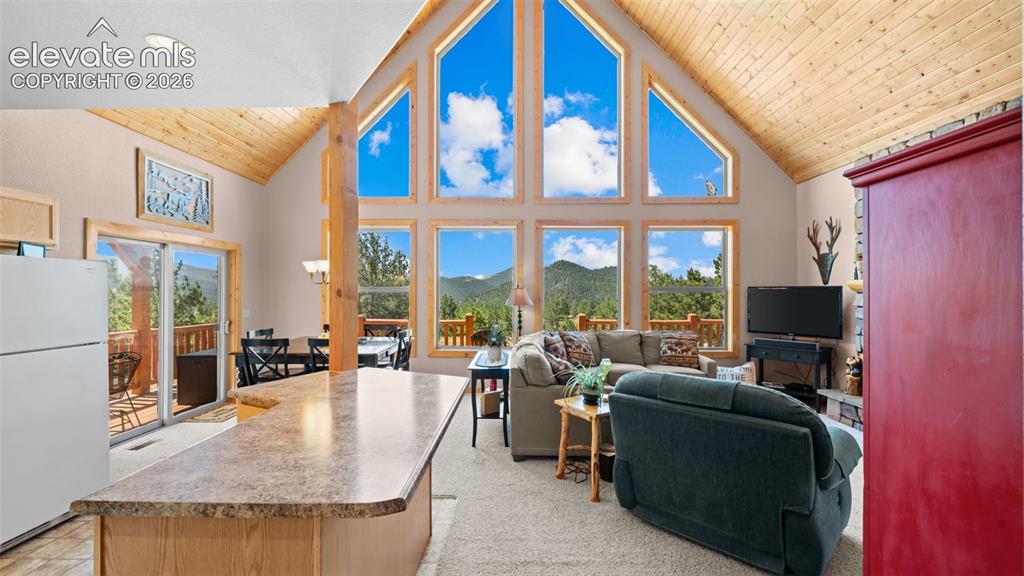 598 Dandy Jim Drive Cripple Creek CO 80813