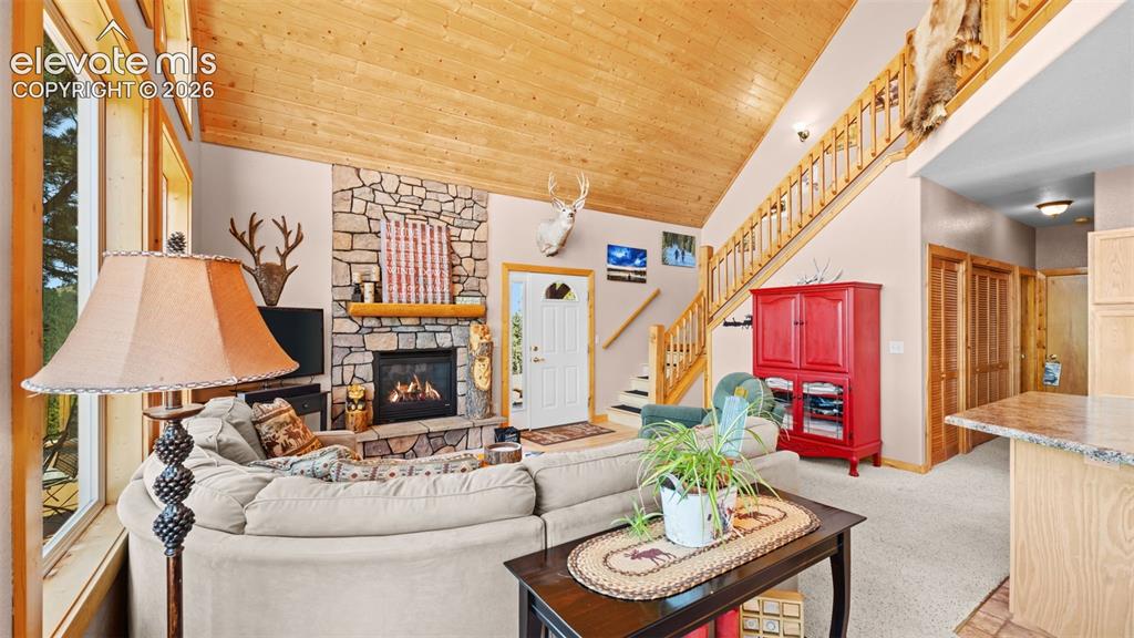598 Dandy Jim Drive Cripple Creek CO 80813