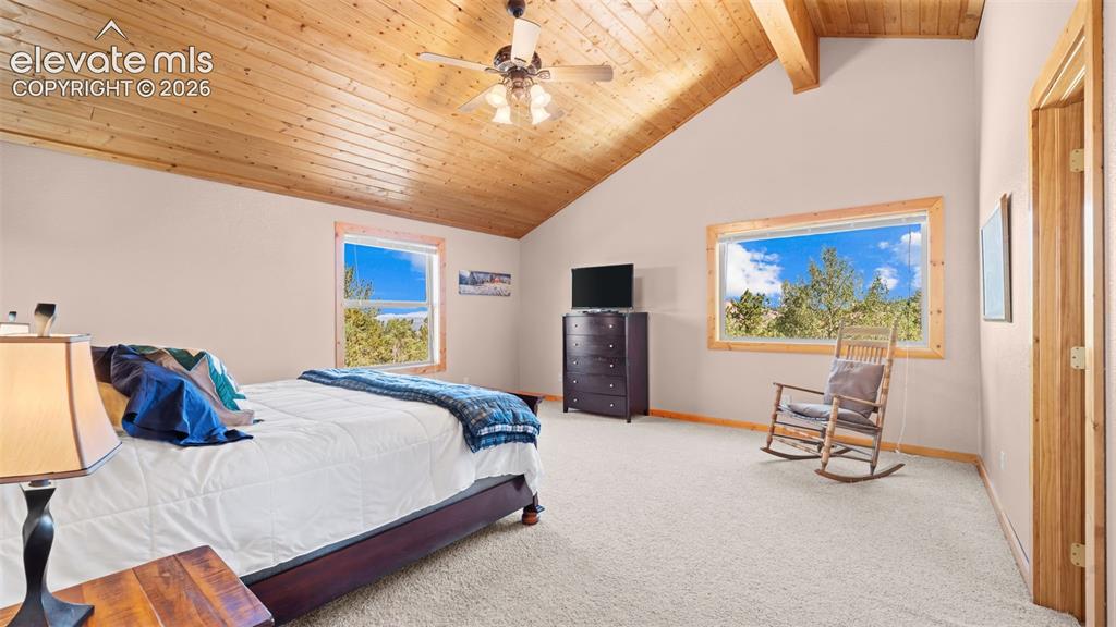 598 Dandy Jim Drive Cripple Creek CO 80813