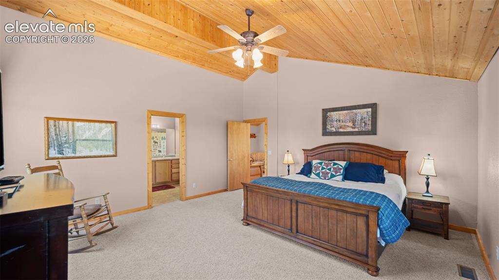 598 Dandy Jim Drive Cripple Creek CO 80813