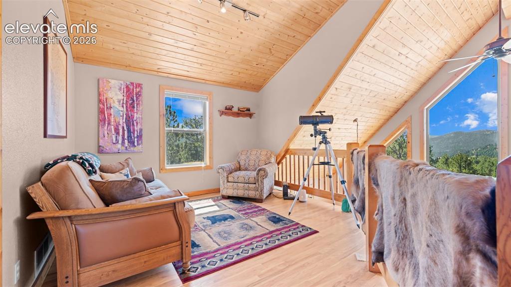 598 Dandy Jim Drive Cripple Creek CO 80813