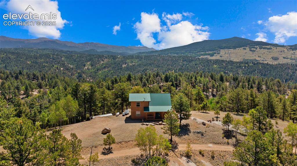 598 Dandy Jim Drive Cripple Creek CO 80813