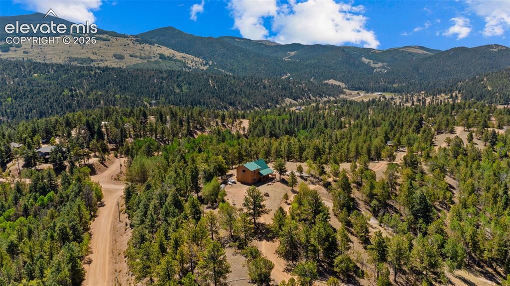 598 Dandy Jim Drive Cripple Creek CO 80813