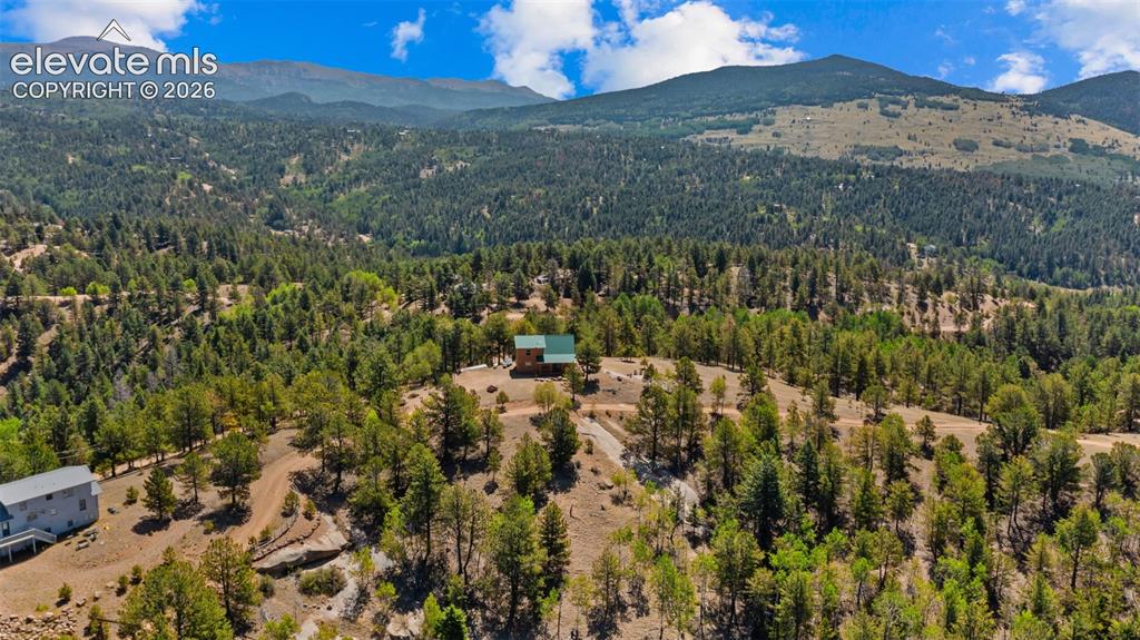 598 Dandy Jim Drive Cripple Creek CO 80813