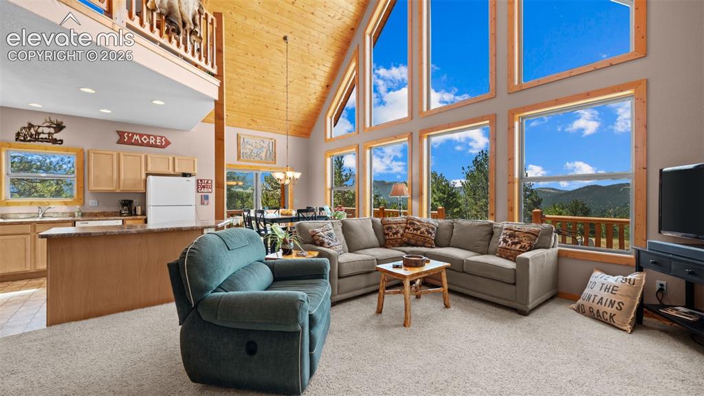 598 Dandy Jim Drive Cripple Creek CO 80813