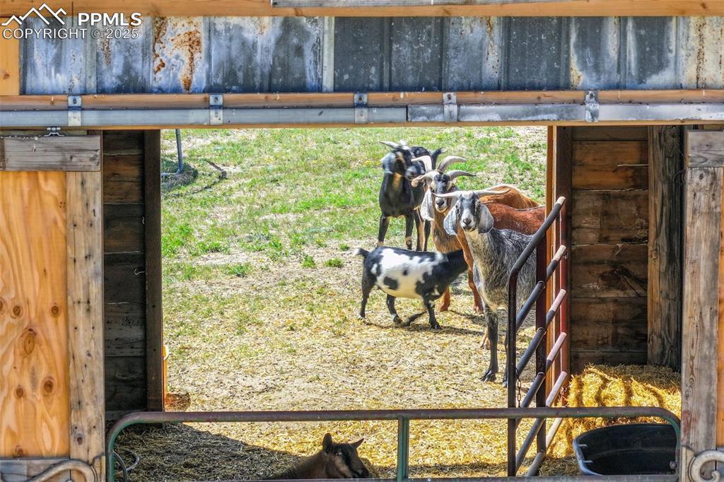 9235 Guthrie Road Calhan CO 80808