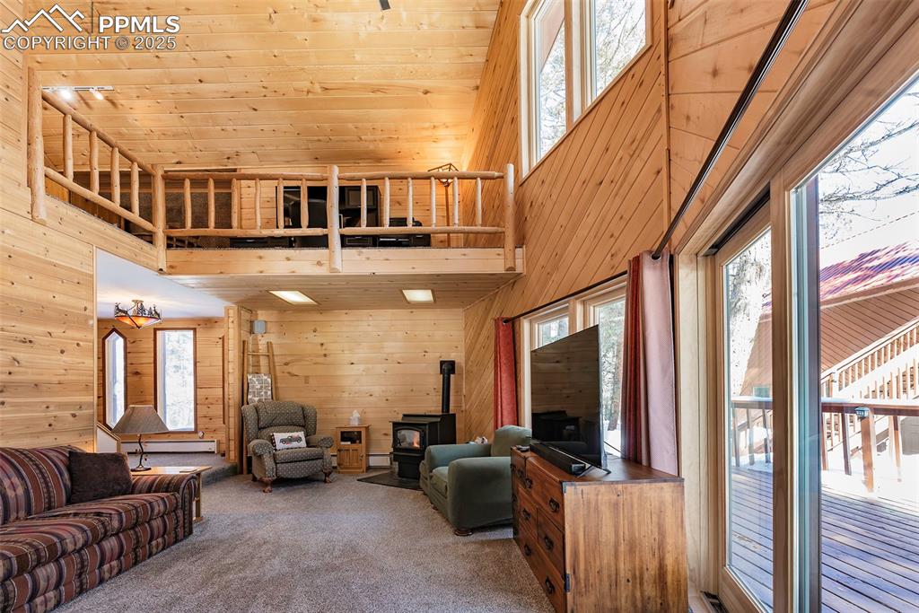 861 Balsam Drive Cimarron CO 81220