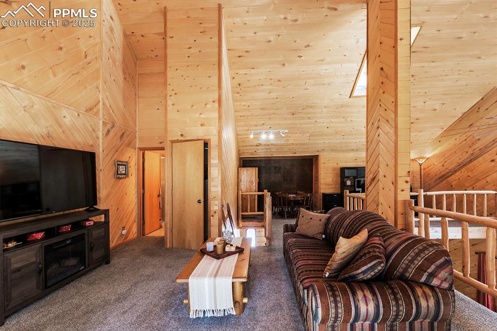 861 Balsam Drive Cimarron CO 81220