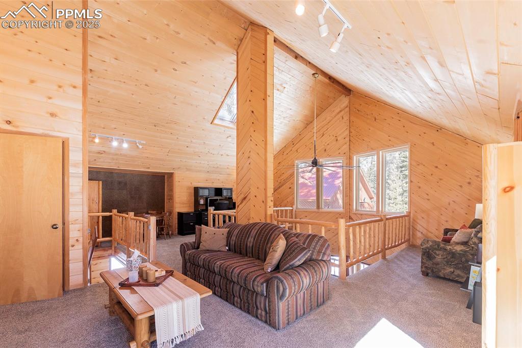 861 Balsam Drive Cimarron CO 81220