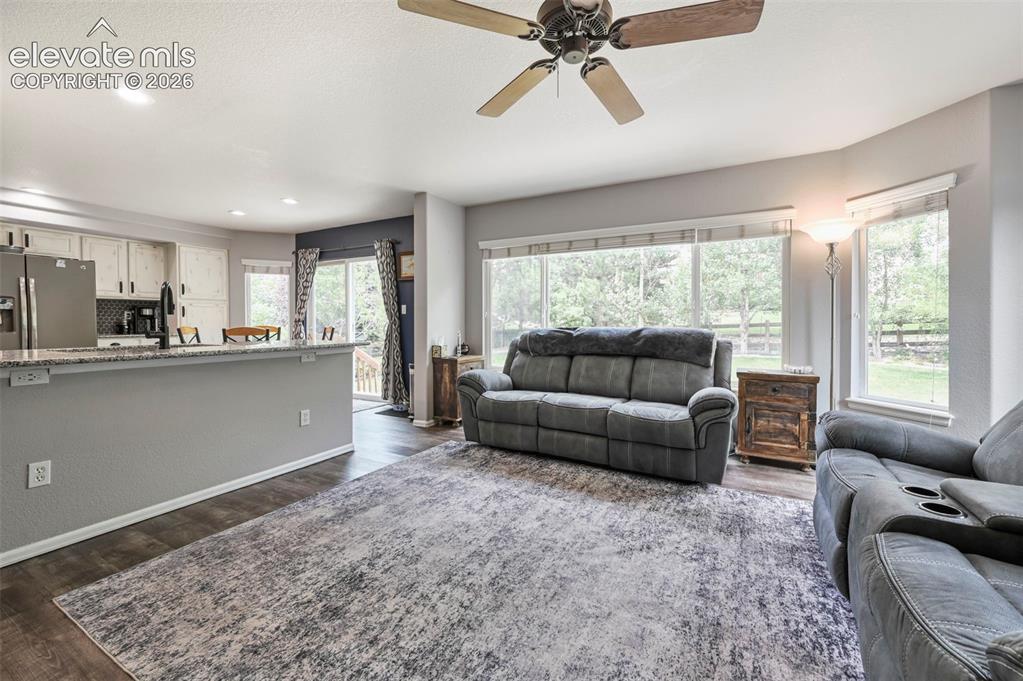 713 Saber Creek Drive Monument CO 80132