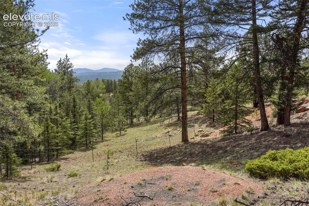 247 Pinewood Road Florissant CO 80816