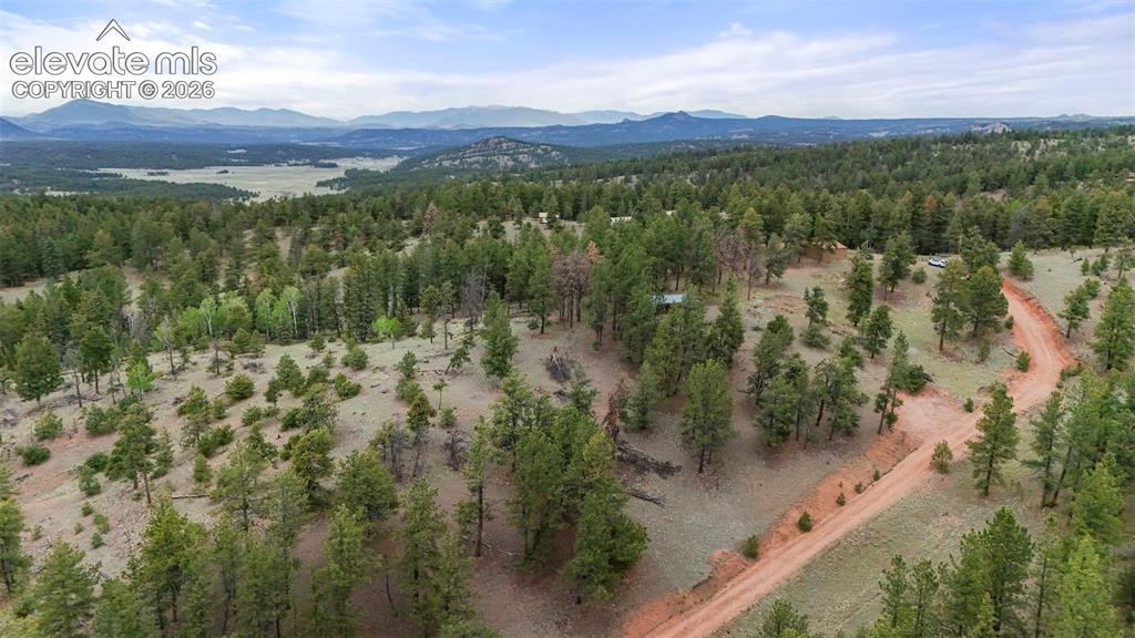 247 Pinewood Road Florissant CO 80816