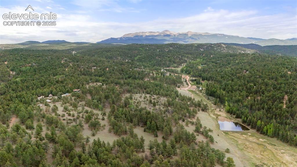 247 Pinewood Road Florissant CO 80816