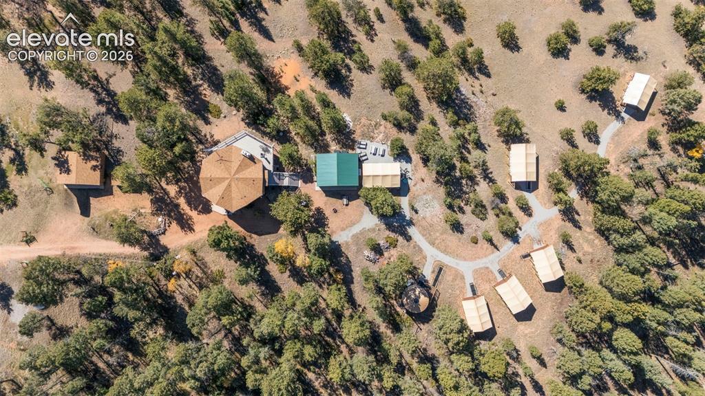 247 Pinewood Road Florissant CO 80816