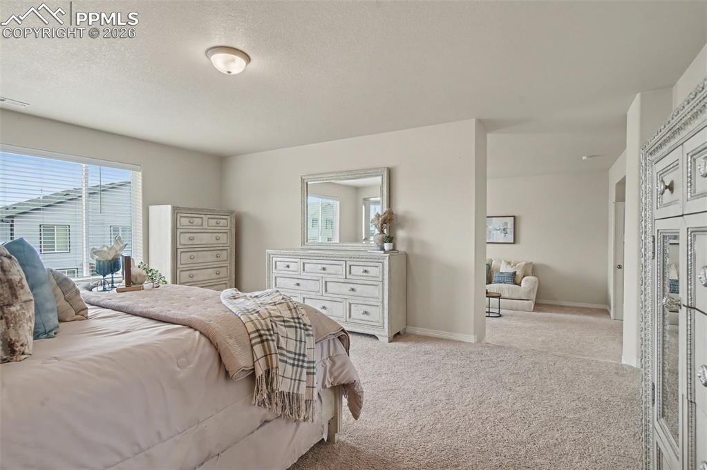 10821 Rolling Mesa Drive Peyton CO 80831