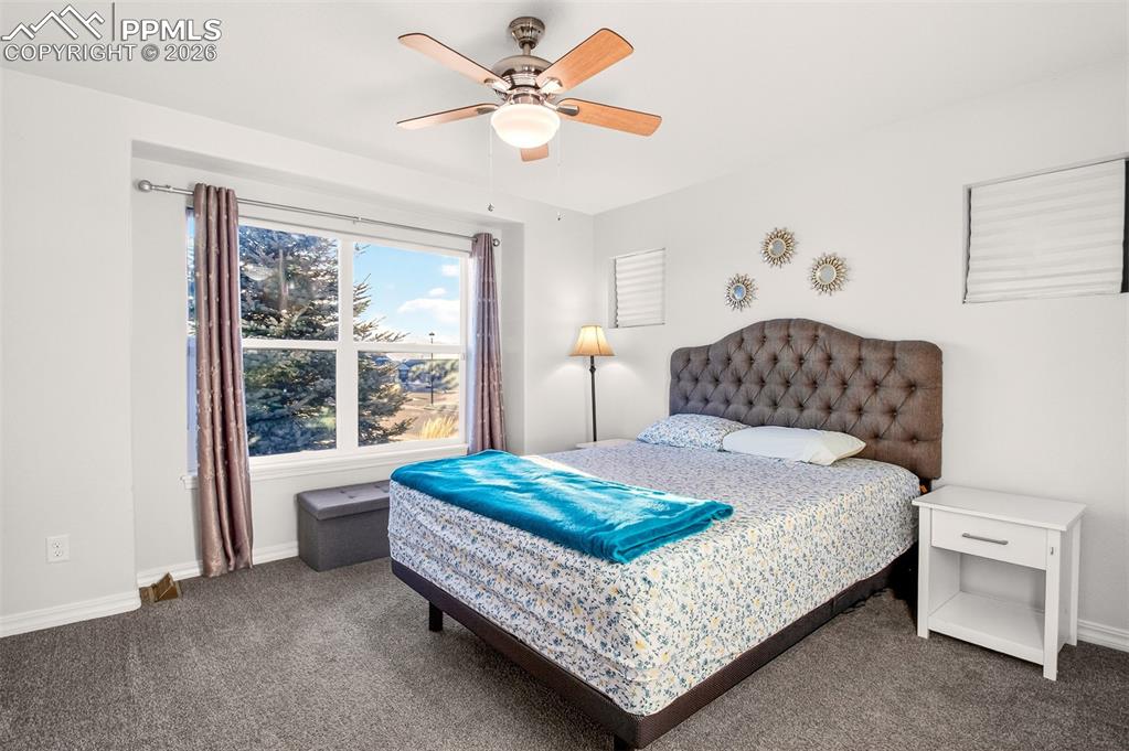 10147 Barbour Fork Court Colorado Springs CO 80924