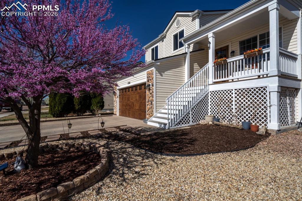 7306 Brush Hollow Drive Fountain CO 80817