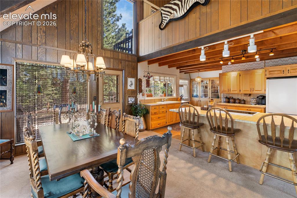 303 Ute Trail Woodland Park CO 80863
