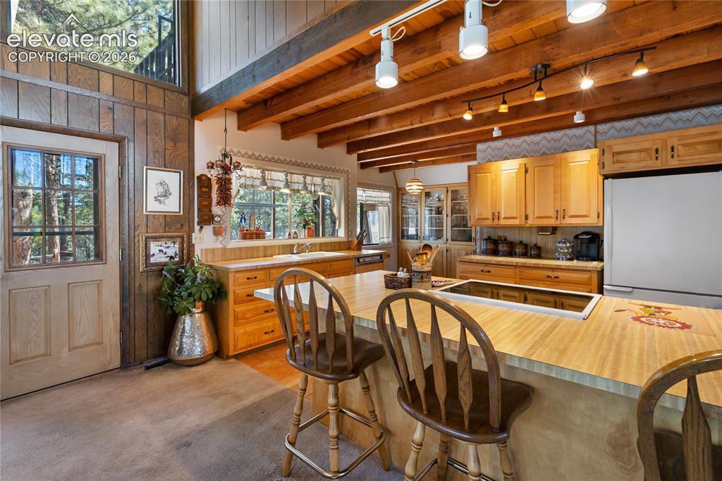 303 Ute Trail Woodland Park CO 80863
