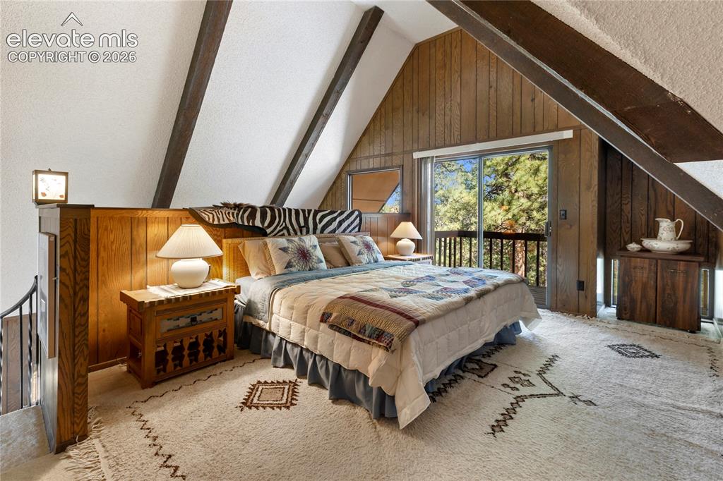 303 Ute Trail Woodland Park CO 80863