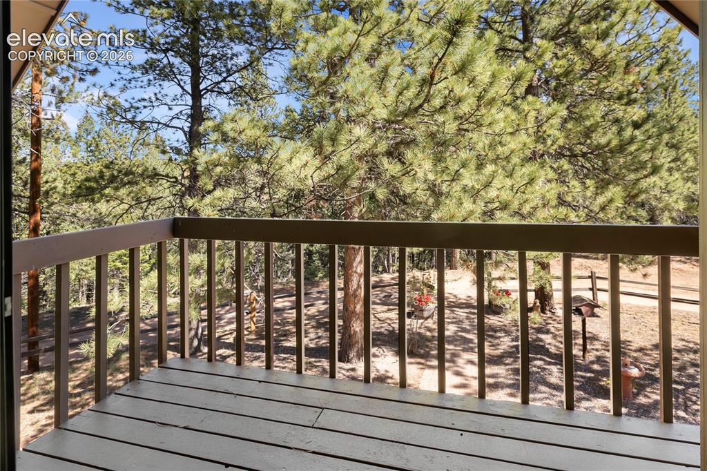 303 Ute Trail Woodland Park CO 80863