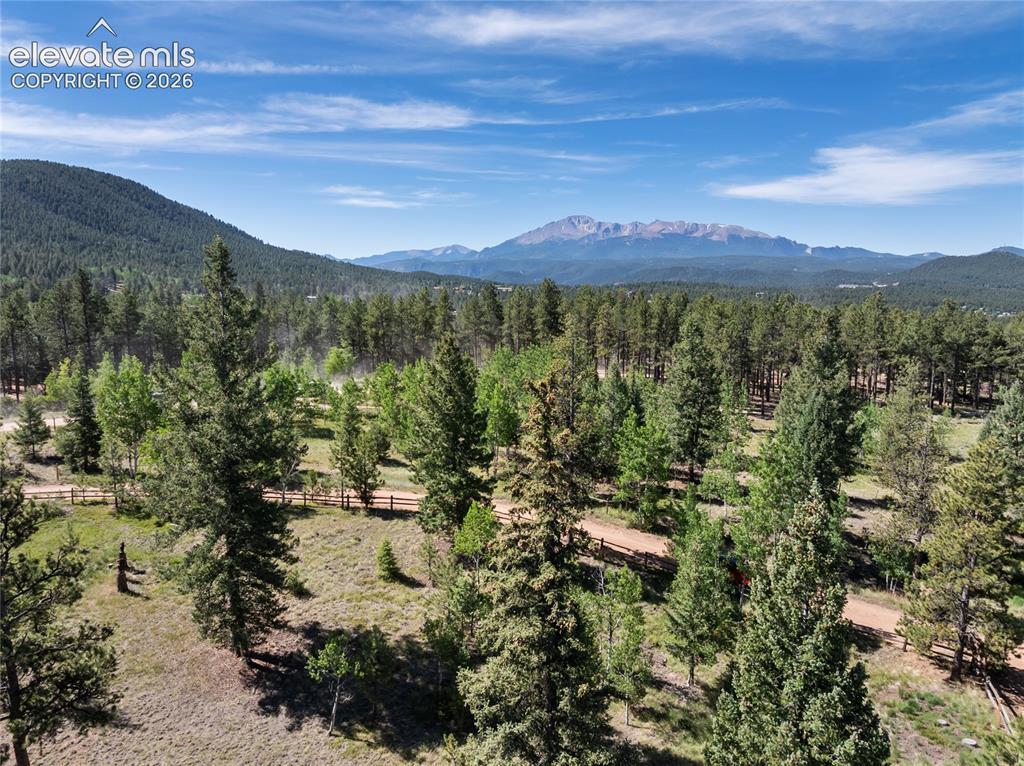 303 Ute Trail Woodland Park CO 80863
